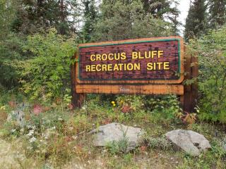 Affiche d'accueil de Crocus Bluff
