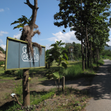 ComPeung sign and the road