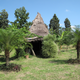 The first hut built by Ong
