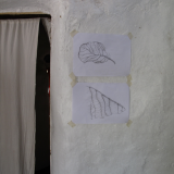 Drawings of leaves inside my house