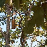 Portrait of object during daytime (view of the rope)
