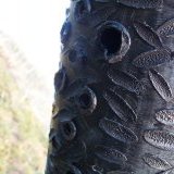 Close-up (holes)