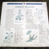Explanatory display