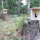 Third Absence (prototype)